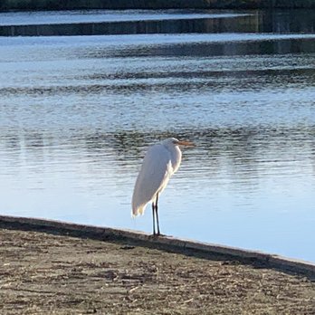 Maria Sanchez Lake - Lakes Near Me - Saint Augustine, Florida