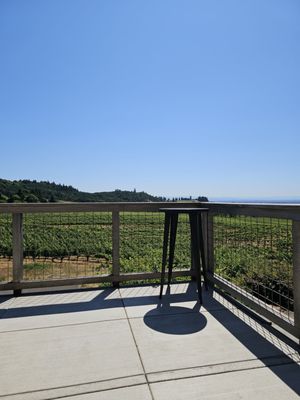 Bethel Heights Vineyard by null