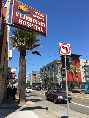 ocean ave pet hospital