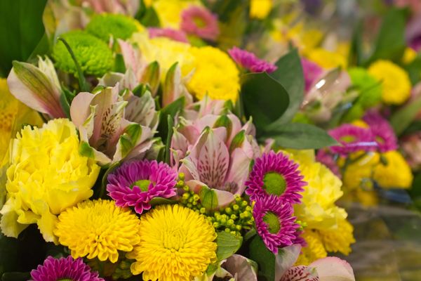 Whole Foods Market by null