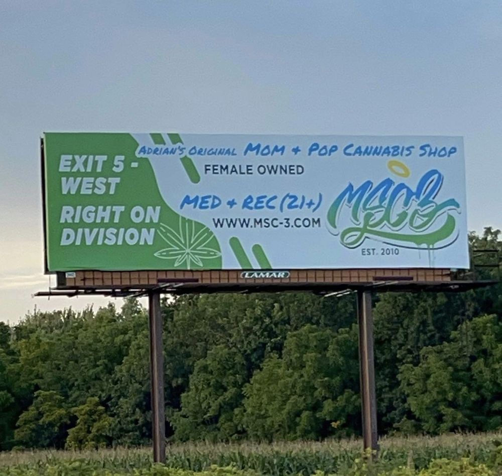 MSC3 Updated October 2024 717 Division St, Adrian, Michigan