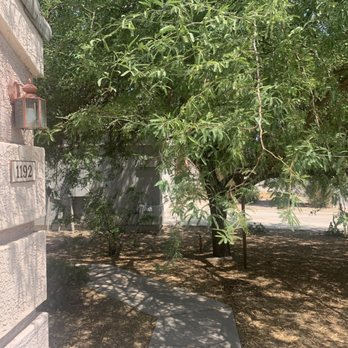 Dig It Landscaping - Before - Tree Services Near Me