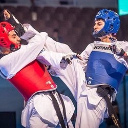 Taekwondo Torino Zagato Team