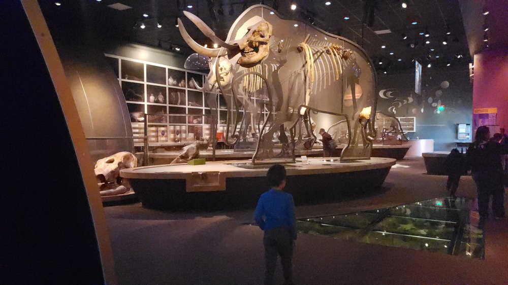 WESTERN SCIENCE CENTER 211 Photos & 54 Reviews Museums 2345 Searl