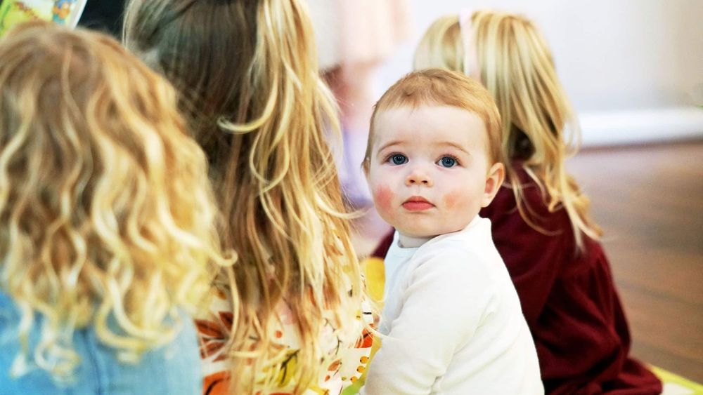 Little Seedlings Childcare - childcare center in Bloomfield Hills, MI