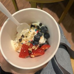 my non dairy fro-yo my non dairy fro-yo