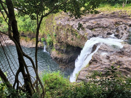 O.K. Farms Hawai'i by null