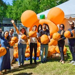 OHLA Schools - Open Hearts Language Academy