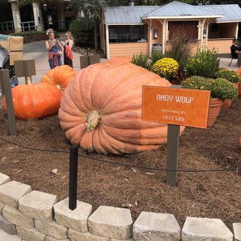 Dollywood - Massive pumpkins all over the park - Amusement Parks Near Me - Pigeon Forge, Tennessee