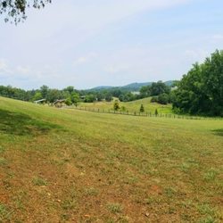 I.C. King Dog Park - Big park!
