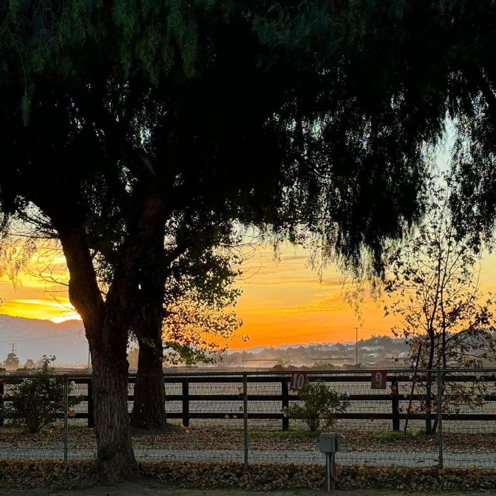California Ranch Company - Gorgeous sunset! - Horseback Riding Near Me - Temecula, California