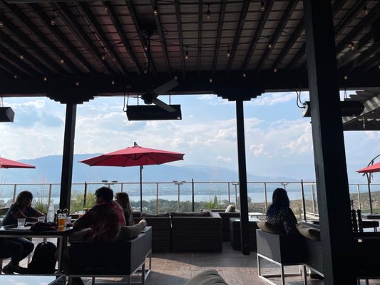 The Bear, The Fish, The Root & The Berry by null