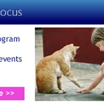 Cats Whiskers - Veterinarians Near Me - Worthing, WSX