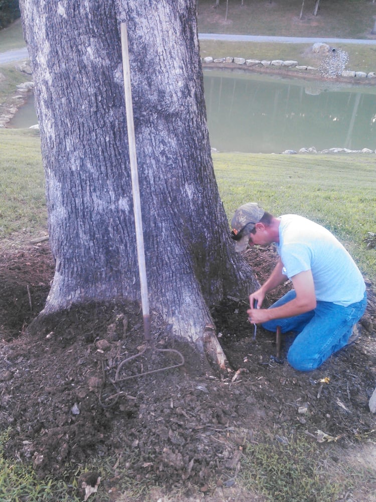 Slide of Fortner Construction and Tree Service