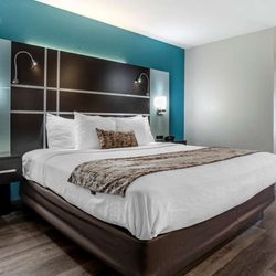 Best Western Plus Carlton Suites - Suite 2 King