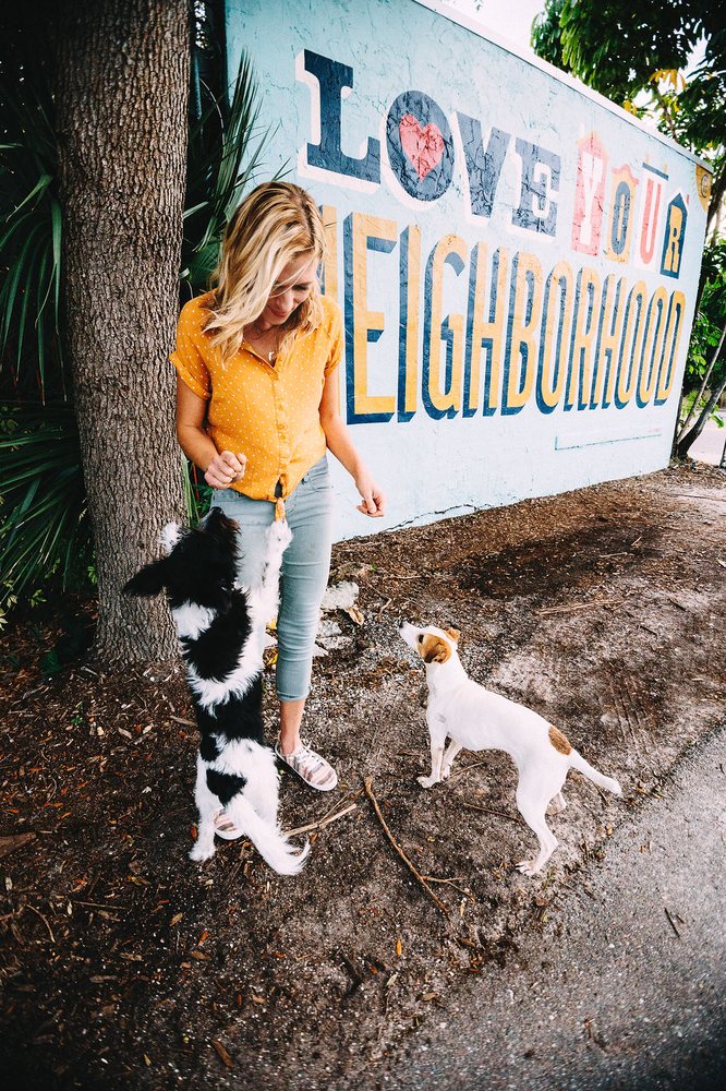 VET 2 DOOR 260 1st Ave S, Saint Petersburg, Florida Veterinarians