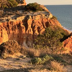 Detailed Destinations - Falesia Beach in Albufeira, Portugal