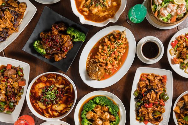 Ollie’s Chinese Noodle Shop & Grill (成都印象) by null