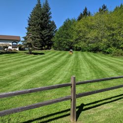 Bizy Boys Lawn and Yard Care