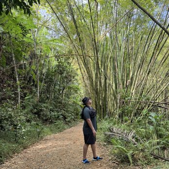 Spotin Tours - Bamboo - Walking Tours Near Me
