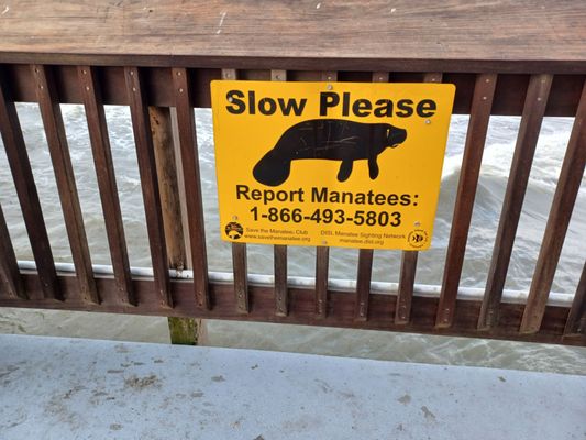 Gulf State Park Pier by null