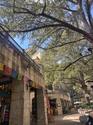 Justin's Ice Cream Co by null