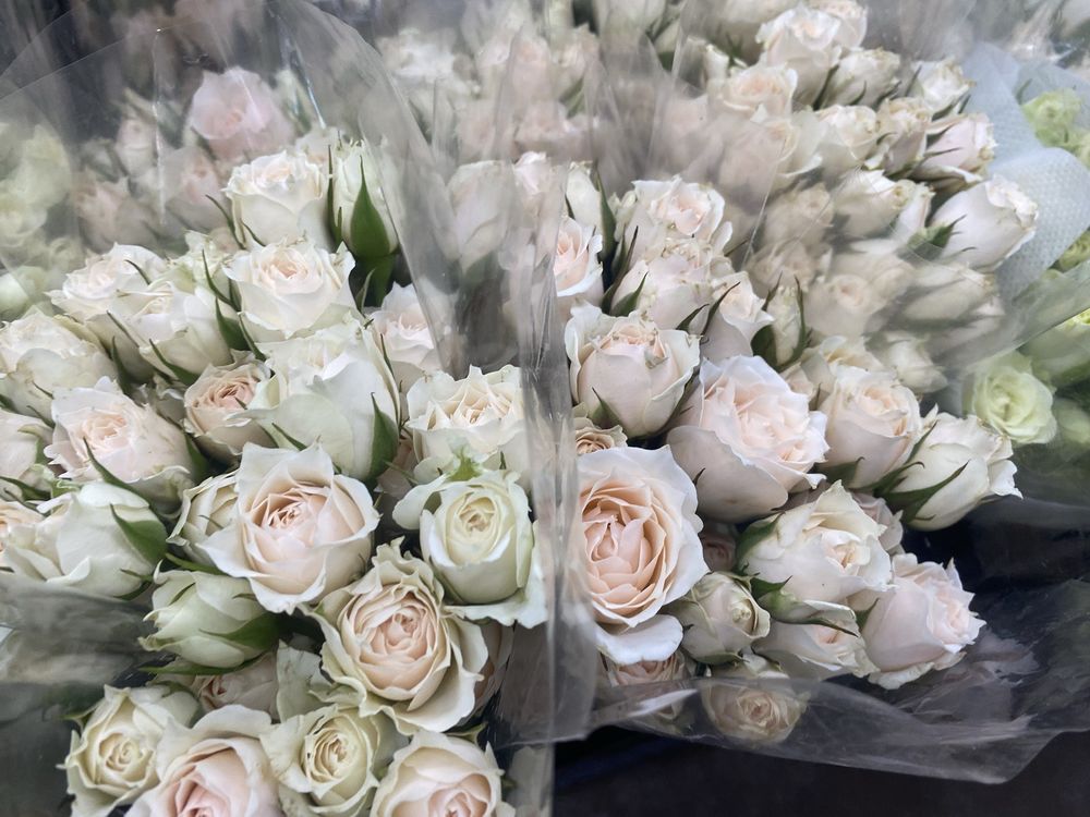 METROPOLITAN WHOLESALE Updated September 2024 14 Photos & 15