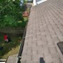 Photo of Victors Tree Services & Landscaping