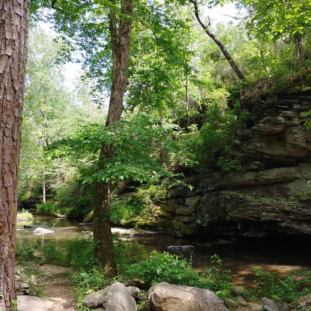 Mardis Mill Falls - Parks Near Me - Blountsville, Alabama Mardis Mill Falls - Parks Near Me - Blountsville, Alabama