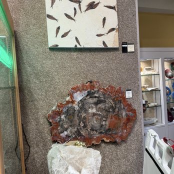 Touchstone Gallery - Petrified wood & Knightia fossil "aquarium" - Art Galleries Near Me - Santa Fe, New Mexico