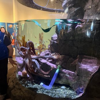 Seattle Aquarium - Aquariums Near Me - Seattle, Washington