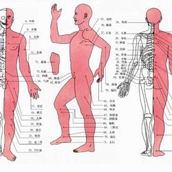 O Chi Reflexology - Pressure Points