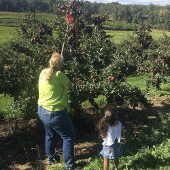 Wilklow Orchards - Apple picking! - Fruits & Veggies Near Me - Highland, New York