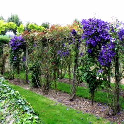 Château et jardins de la Chatonnière
