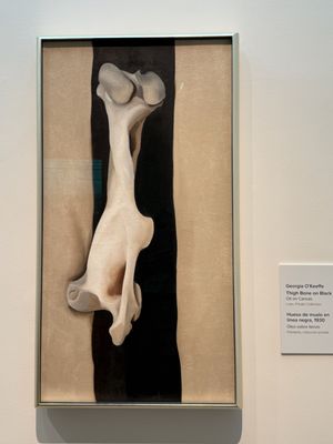 Georgia O'Keeffe Museum by null Georgia O'Keeffe Museum by null