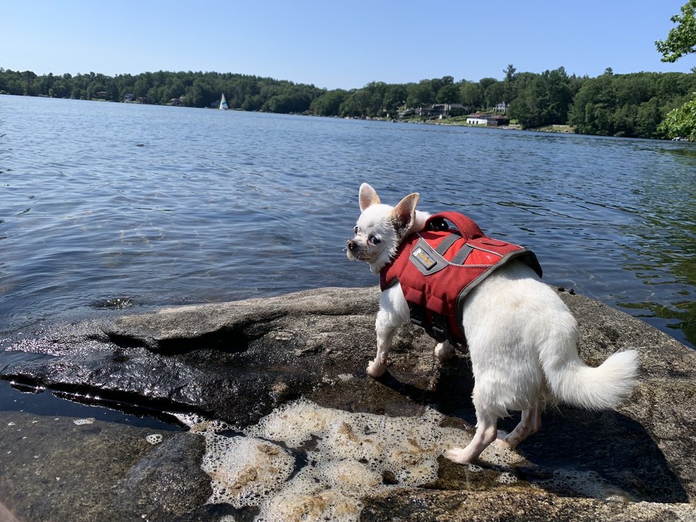 WEST HILL LAKE CT DEEP BOAT LAUNCH Updated August 2024 26 Photos