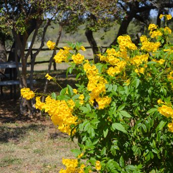 Phoenix Nest Guest Houses - Guest Houses Near Me - Llano, Texas