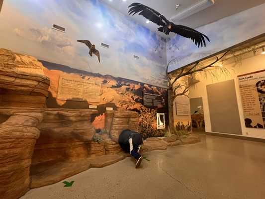 The Peregrine Fund's World Center For Birds of Prey by null