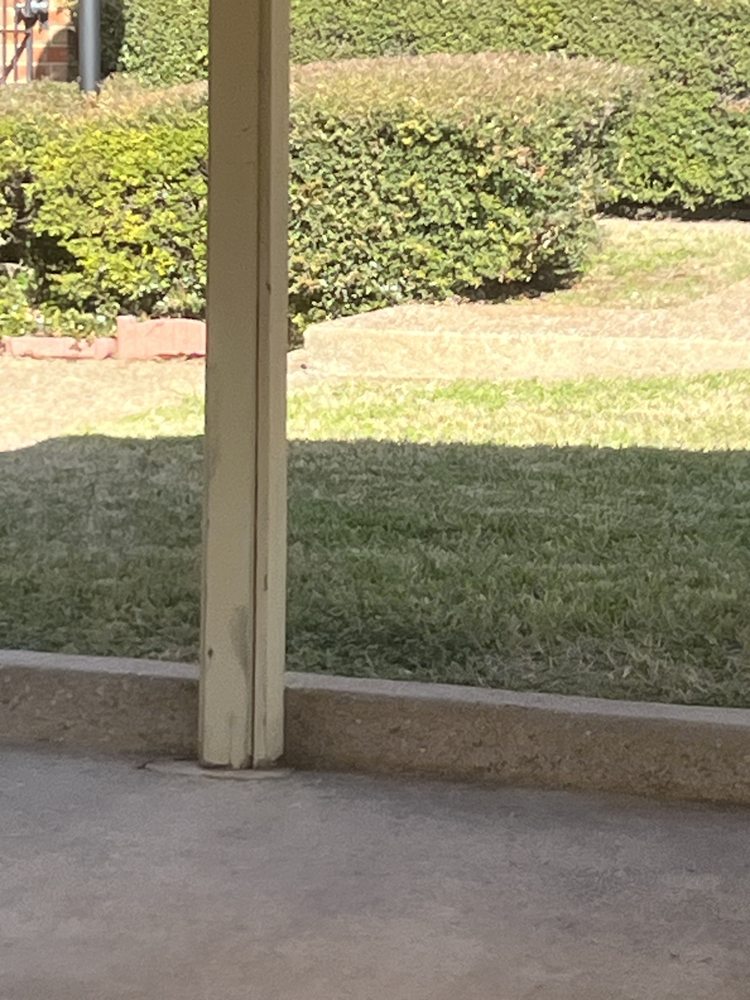 Slide of A Handy Sammy