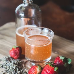 Drink More Local - Local's Kombucha, a soothing blend of cold pressed organic strawberries infused with lavender imported from France.