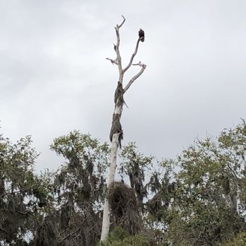 Captain Fred's Airboat Tours - Boat Tours Near Me - Lake Hamilton, Florida