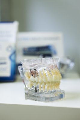 Scott Nakamura, DMD by null