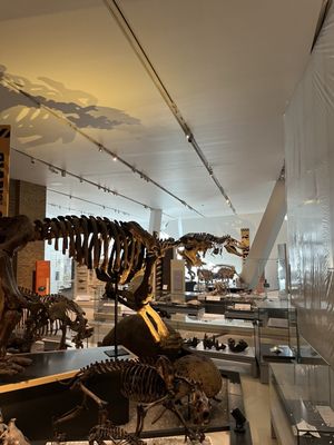 Royal Ontario Museum by null