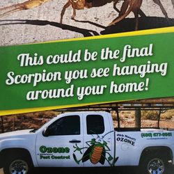 Ozone Pest Control - We stop Scorpions, not just the food source!