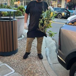 RicoPan LatinPastries