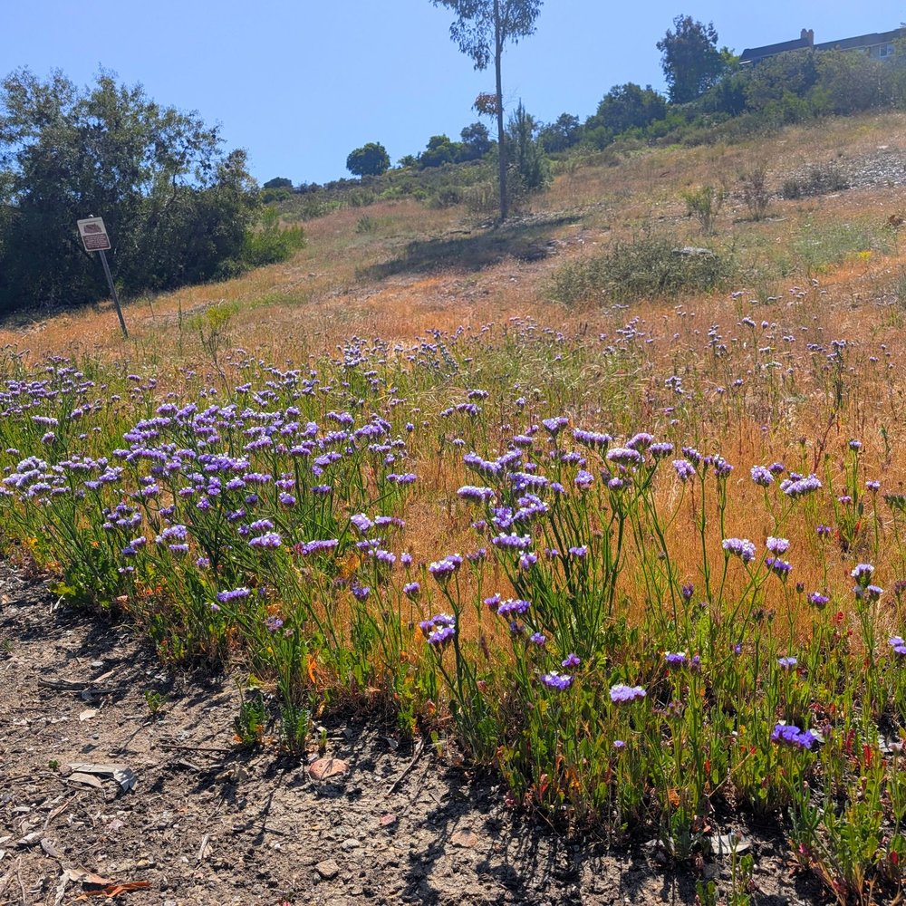 Starridge Park - Nature - Parks Near Me - Poway, California Starridge Park - Nature - Parks Near Me - Poway, California