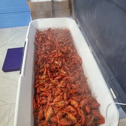 B&T Seafood