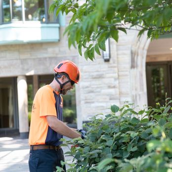 SavATree Austin - Tree Services Near Me - Austin, Texas SavATree Austin - Tree Services Near Me - Austin, Texas