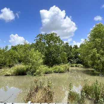 Crocodile Encounter - Zoos Near Me - Angleton, Texas Crocodile Encounter - Zoos Near Me - Angleton, Texas