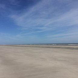 Cumberland Island, Georgia's National Seashore.